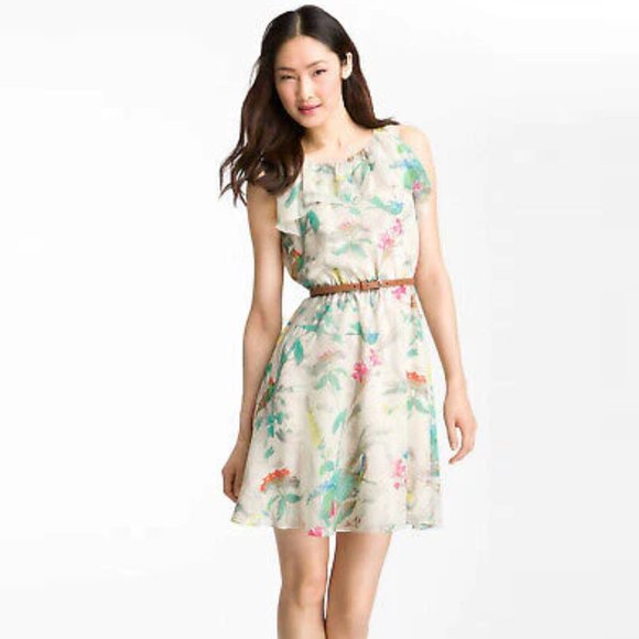 Ted Baker Dresses & Skirts - Ted Baker Parisian Birdie Ruffe Dress Size 1